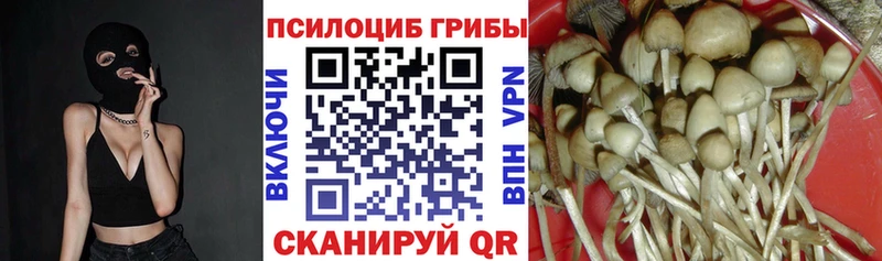 Галлюциногенные грибы прущие грибы  купить закладку  Бокситогорск 